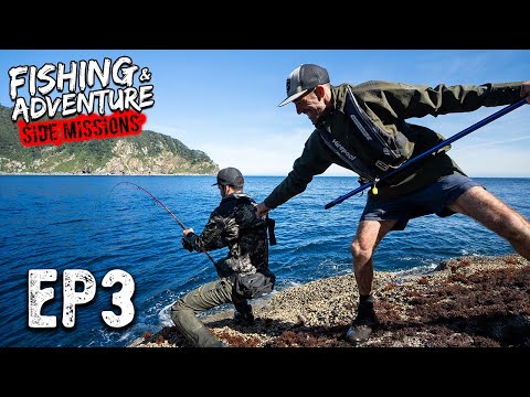 Видео: Эти рыбы НИКОГДА не видели приманок! ФЬОРДЛЕНД — ДОПОЛНИТЕЛЬНОЕ ЗАДАНИЕ