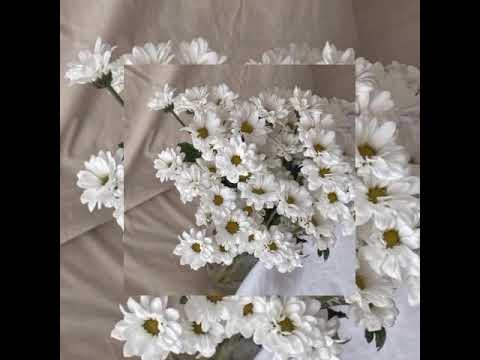 Видео: Егор Крид -сердцеедка×невеста speed up