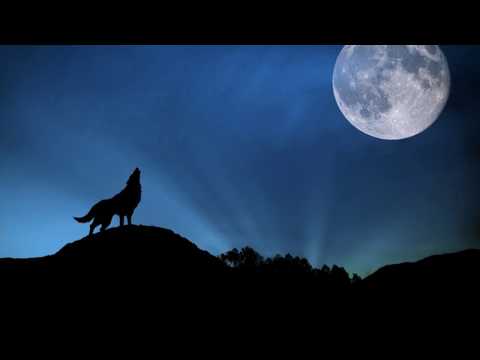 Видео: Іңкәр ӘБДІРӘШ - “Желсіз түнде жарық ай”