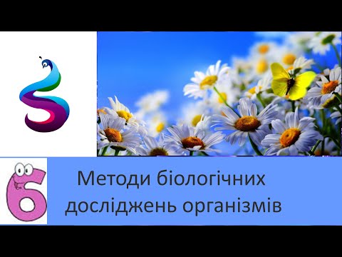 Видео: Методи біологічних досліджень організмів