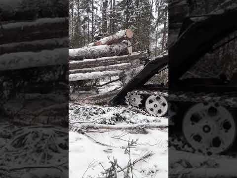 Видео: Тлт 100 трелевка. лесозаготовка