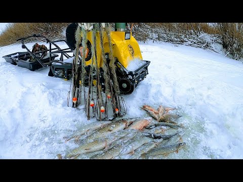 Видео: ПОПАЛ на раздачу всякой РЫБЫ. Рыбалка на ХАПУГИ в глухозимье. Рыбалка в Сибири 2022.
