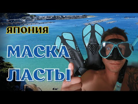 Видео: Япония. Пляж, маска, ласты, флора и фауна.