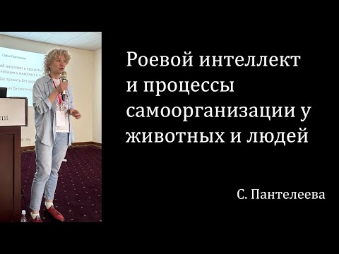 Видео: Роевой интеллект и процессы самоорганизации у животных и людей