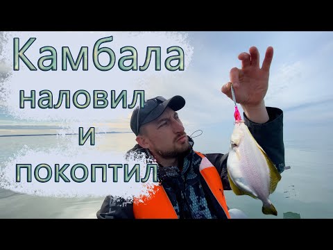 Видео: Наловил и подкоптил камбалу | Сахалин