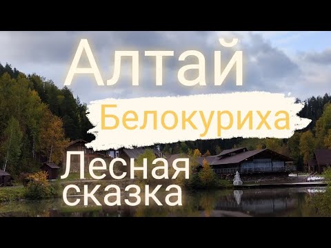 Видео: Белокуриха. Заимка "Лесная сказка"
