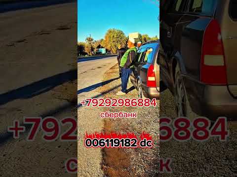 Видео: Биёед бо ҳам роҳи фардоро бисозем