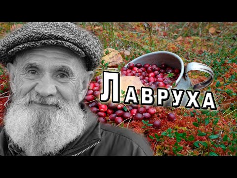 Видео: /История одного человека/