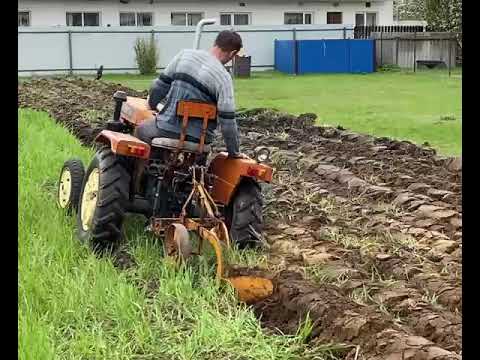 Видео: 4 мая 2025 г.