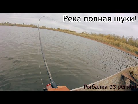 Видео: Вы видели как клюёт толстолоб на блесну?