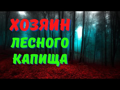 Видео: Комариный гул /Деревенские страшилки про проклятья на ночь/Страшные истории про деревню