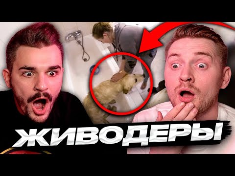Видео: Чистка животных - Черный список