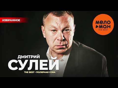 Видео: ДМИТРИЙ СУЛЕЙ - The Best - Полярная сова (Избранное)