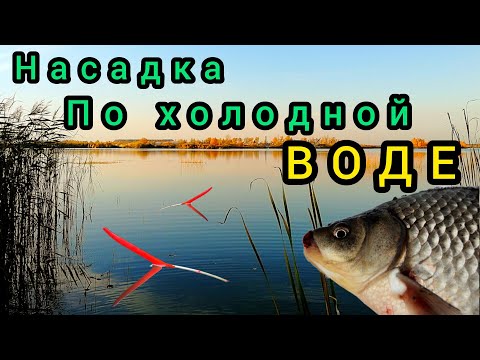 Видео: Убойная НАСАДКА ПО Холодной воде!!! Лови Карася ,Карпа,Плотву,Леща!!!