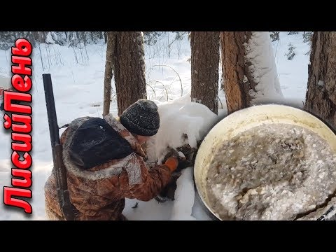 Видео: Приманка на соболя, куницу.