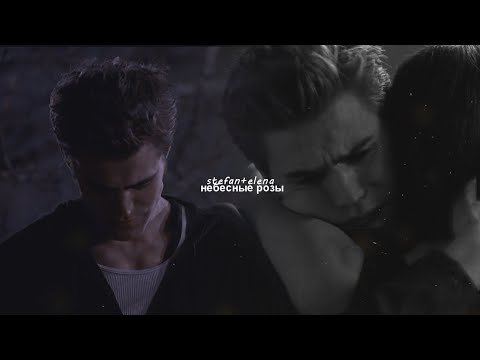 Видео: stefan & elena | Небесные розы