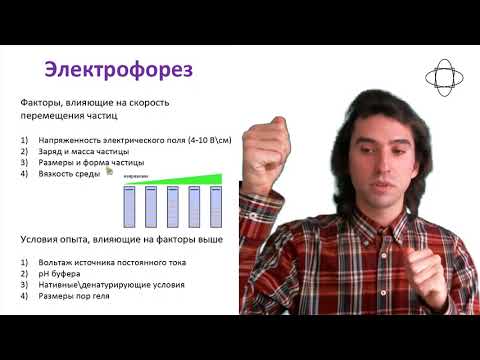 Видео: Электрофорез