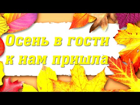 Видео: Осень в гости к нам пришла! Осенний утренник в детском саду. Вторая группа раннего возраста 🎶