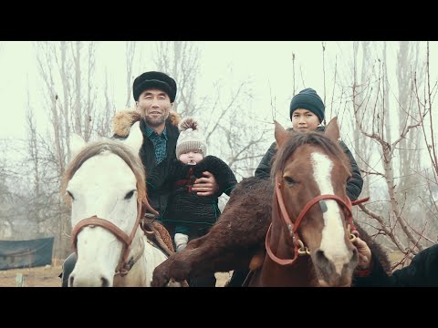 Видео: АЛАМАН УЛАК КАЙТПАС АЛМАНБЕК БАРСБЕК СҮННӨТ ТОЙЛОРУ