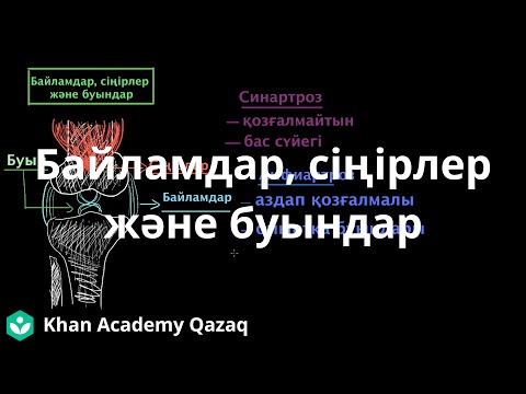 Видео: Байламдар, сіңірлер және буындар | Қазақ Хан Академиясы