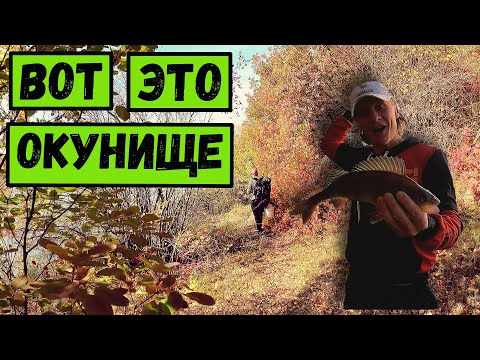 Видео: ВОТ ЭТО ЗАЛЕТЕЛ ЗДОРОВЯК!!! | Ловим ОКУНЯ.