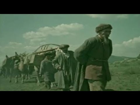 Видео: «2050». Боқты көтерілісі