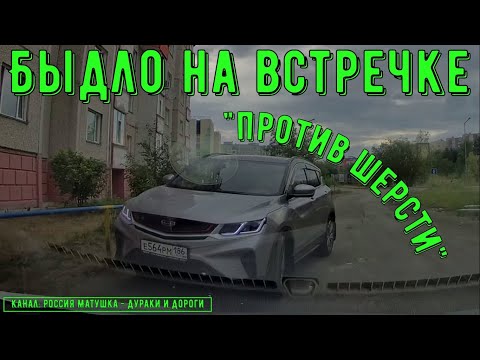 Видео: Быдло на встречке #172! Подборка на видеорегистратор!