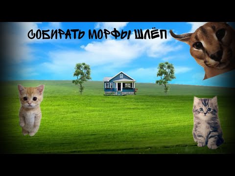 Видео: собрать морфы шлёп