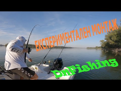 Видео: ЕКСПЕРИМЕНТАЛЕН МОНТАЖ !!! Див Дунавски ШАРАН! Wild carp fishing! Danube RIVER carp fishing !!!