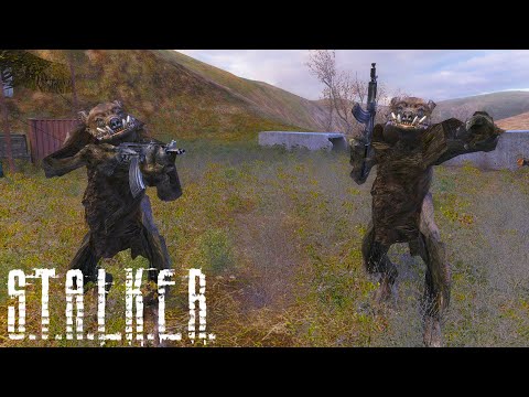 Видео: Кабаны отстреливаются от долговцев - STALKER