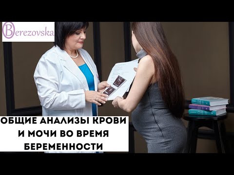Видео: Общие анализы крови и мочи при беременности @DrOlenaB