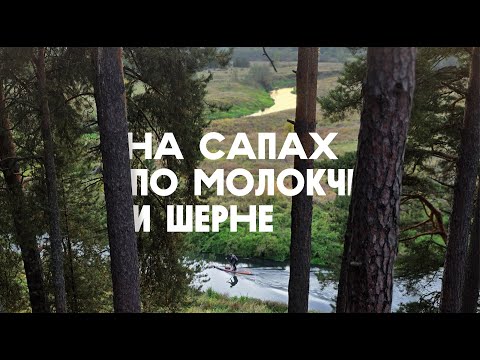Видео: Водорослевый заплыв на сапах по Молокче и Шерне