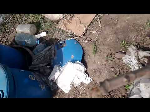 Видео: Состояние инжира не укрывного.Никополь .01.04.24