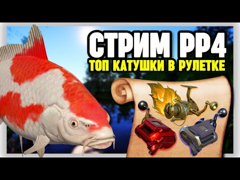 Видео: 🔴 СТРИМ РР4┃🔥ВЫСИДКА КАРПОВ КОИ НА ОЗЕРЕ МЕДНОМ┃🎁 РАПТОР и ВЕНГА в рулетке┃maXS1k