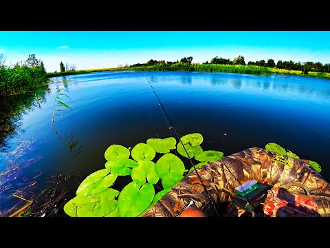 Видео: МОРМЫШИНГ в УКРОМНЫХ МЕСТАХ с ЛОДКИ