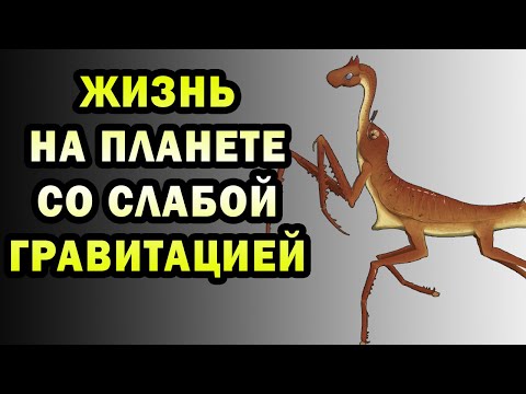 Видео: Животный мир в условиях слабой гравитации | Спекулятивная биология