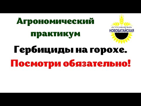 Видео: Гербициды на горохе.