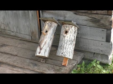 Видео: Мастерим домик для птиц.