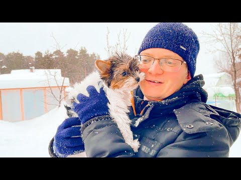 Видео: VLOG Милка первый раз гуляет! 15-16.01.22