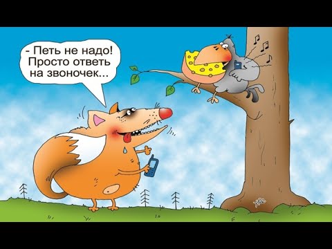 Видео: Мошенники всех мастей (сборник 4)