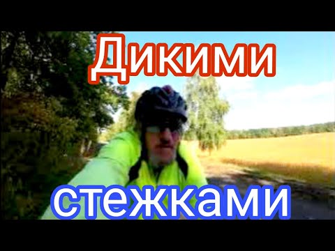 Видео: Велоподорож.🚴 Дикими місцями  у пошуках пригод.