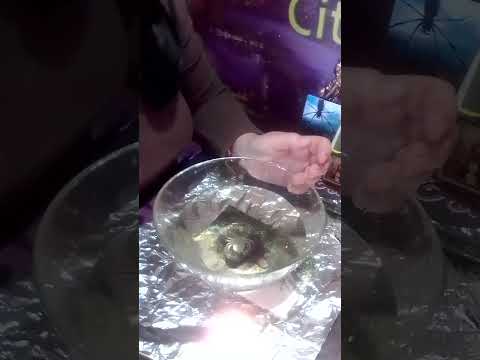 Видео: Ритуал Снятие Паучьей Порчи