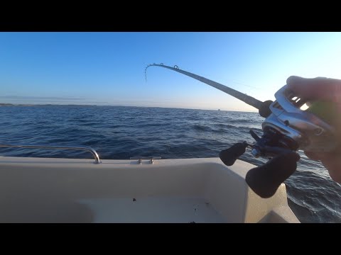 Видео: Дания 2021