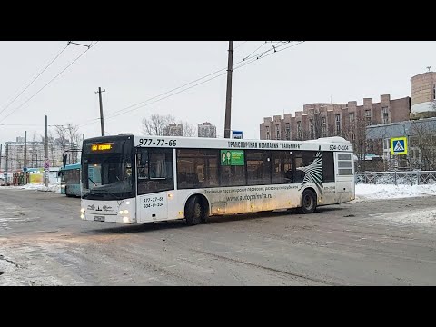 Видео: Автобус, маршрут №64 МАЗ-203.067 б.110715 (11.12.2021) Санкт-Петербург