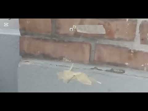 Видео: Level 1 vs level 10 Трикшот...