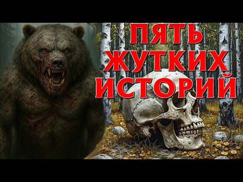 Видео: ТАЙНЫ ТАЙГИ, ЖУТКИЕ ИСТОРИИ. ПЯТЬ ЛУЧШИХ  ИСТОРИЙ НА НОЧЬ. СТРАШНЫЕ ИСТОРИИ