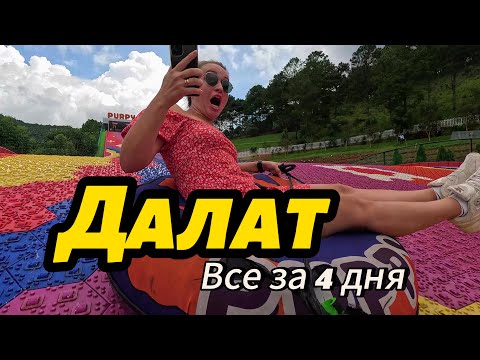 Видео: ДАЛАТ - ЛУЧШИЙ ГОРОД ВЬЕТНАМА , Такого мы не ожидали, Стоит ли ехать из Нячанга? Вьетнам 2024,