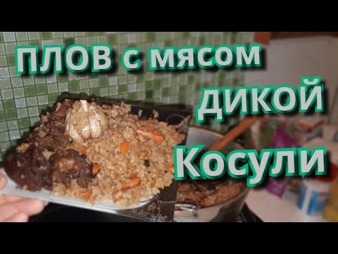 Видео: Плов в ДОМАШНИХ условиях. С мясом настоящей ДИКОЙ косули!