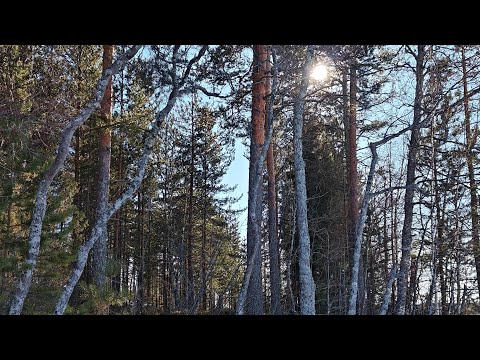 Видео: Длительная Прогулка вдоль и Поперек озера в Солнечный день Весеннего Равноденствия