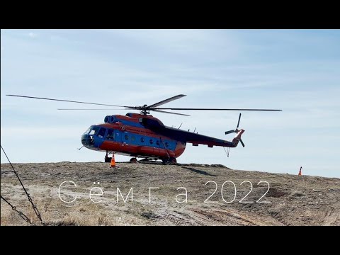 Видео: Рекордный улов (4k) Лосось на Кольском.